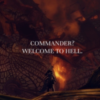 Commander? Welcome to hell.
