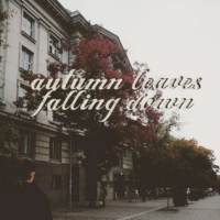 autumn leaves falling down;