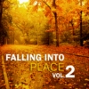 Falling into Place Vol. 2