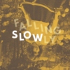 falling slowly