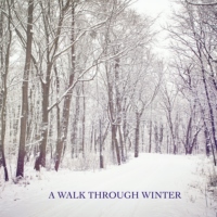 A Walk through Winter