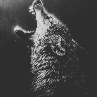Wolves ☽○☾