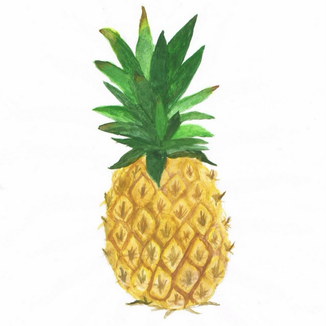 Pineapple is the Happy Fruit