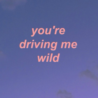 you're driving me wild