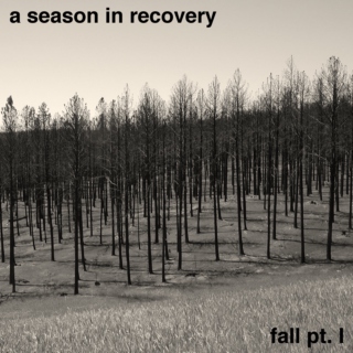 fall pt. I, a season in recovery