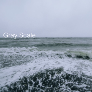 Gray Scale 