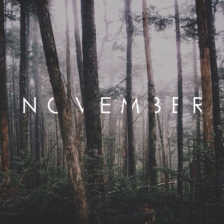 November Forever