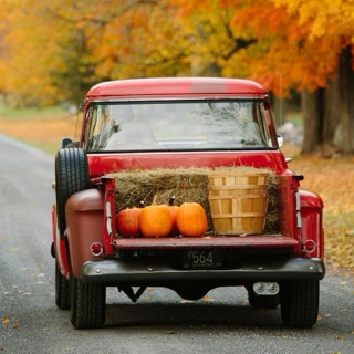 Country Fall