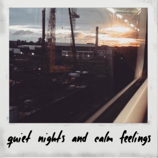 quiet nights and calm feelings