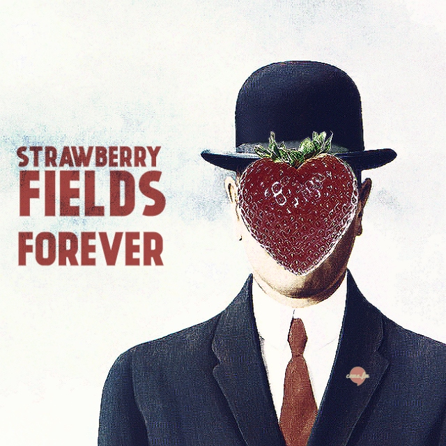 Lennon`s Strawberry Fields Covers
