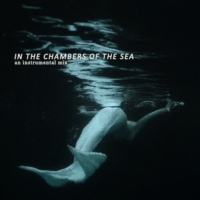 in the chambers of the sea