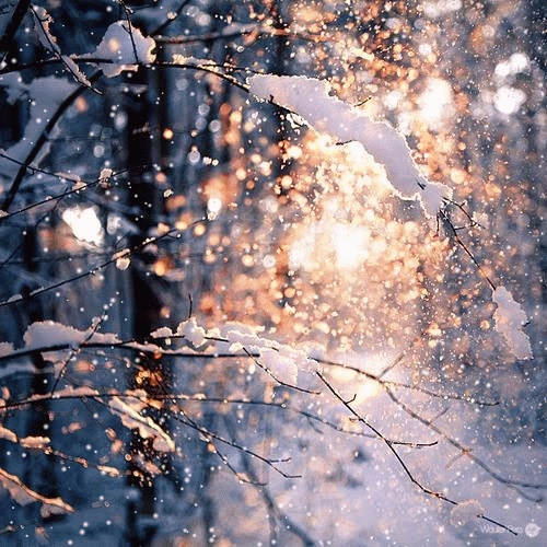 Winter, Fire, and Snow