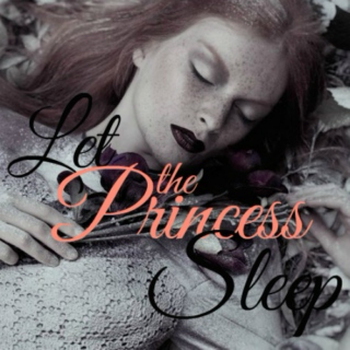 Let The Princess Sleep