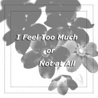 I Feel Too Much or Not at All (B.P.D.) 