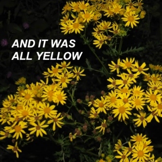 and it was all yellow