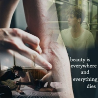 beauty is everywhere, and everything dies