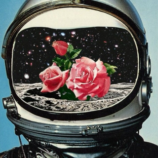 roses and stars