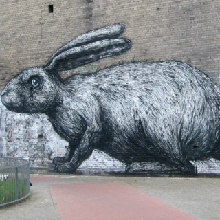 A hard brick and a soft white rabbit