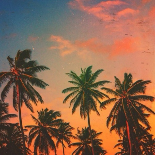 ~Tropical Vibes~ 