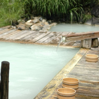 The Japanese Hot Spring