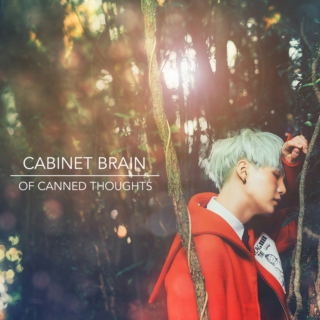 cabinet brain of canned thoughts