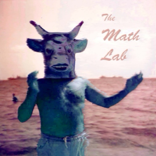 The Math Lab 11/15/15