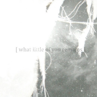 [ what little of you remains ]