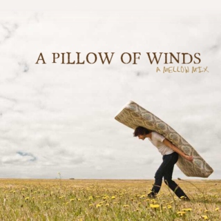 a pillow of winds