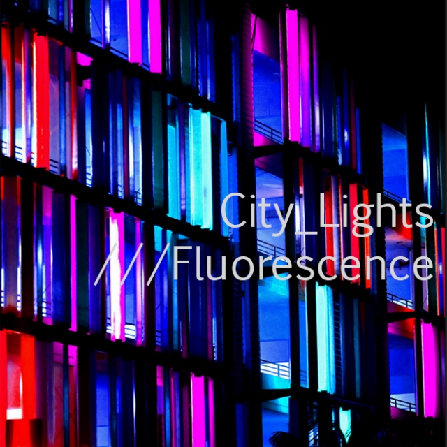 City Lights : Fluorescence