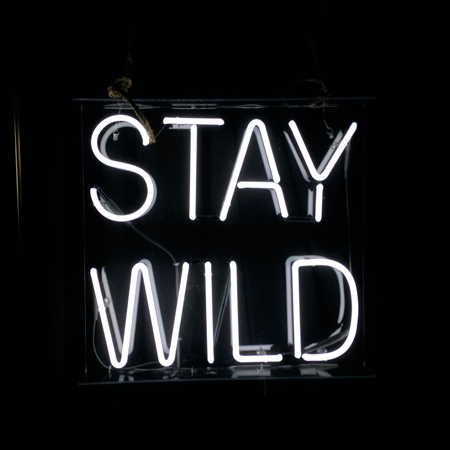 stay wild (a padfoot playlist)