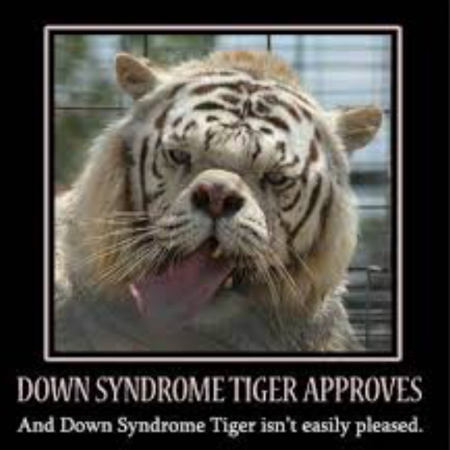 downsyndrome tiger approves of this playlist..