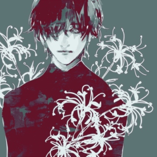 I AM NOT HAISE