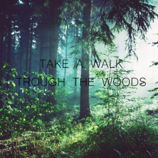 Take a walk trough the woods