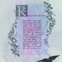 For Ravenclaw, the cleverest