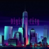 Digital City