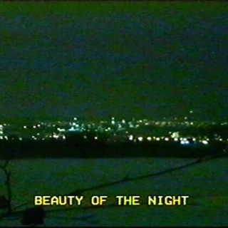 beauty of the night (I)
