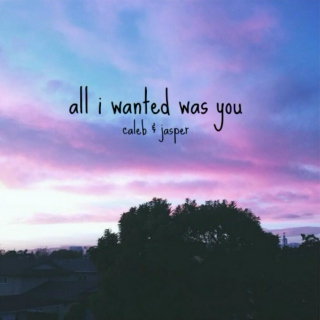 all i wanted was you...