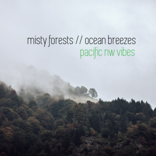 misty forests & ocean breezes