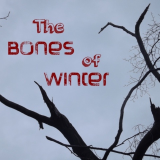 The Bones of Winter