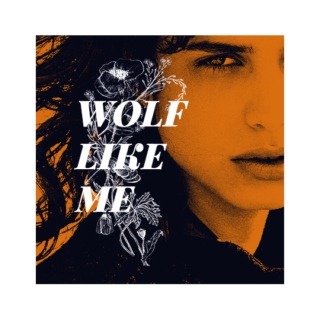 wolf like me