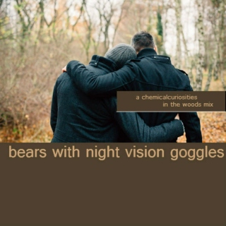 bears with night vision