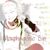 Morphogenetic Sin