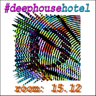 #deephousehotel - room: 15.12
