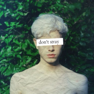 don't stray