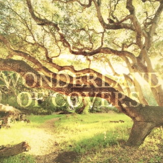 wonderland of covers.