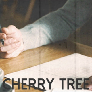 CHERRY TREE //