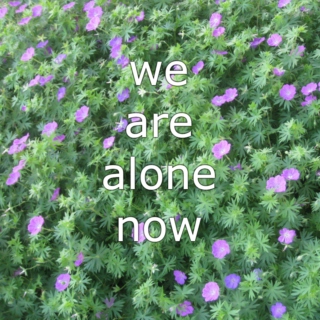 we are alone now