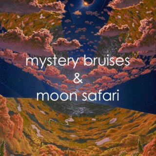 mystery bruises & moon safari