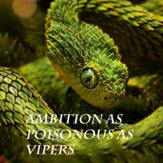 Vipers with Poisonous Ambition