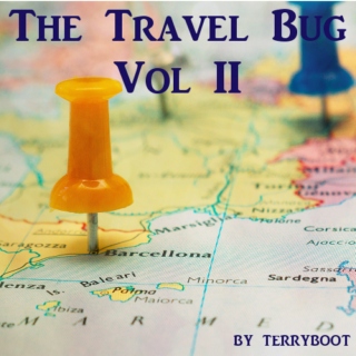 The Travel Bug Vol II